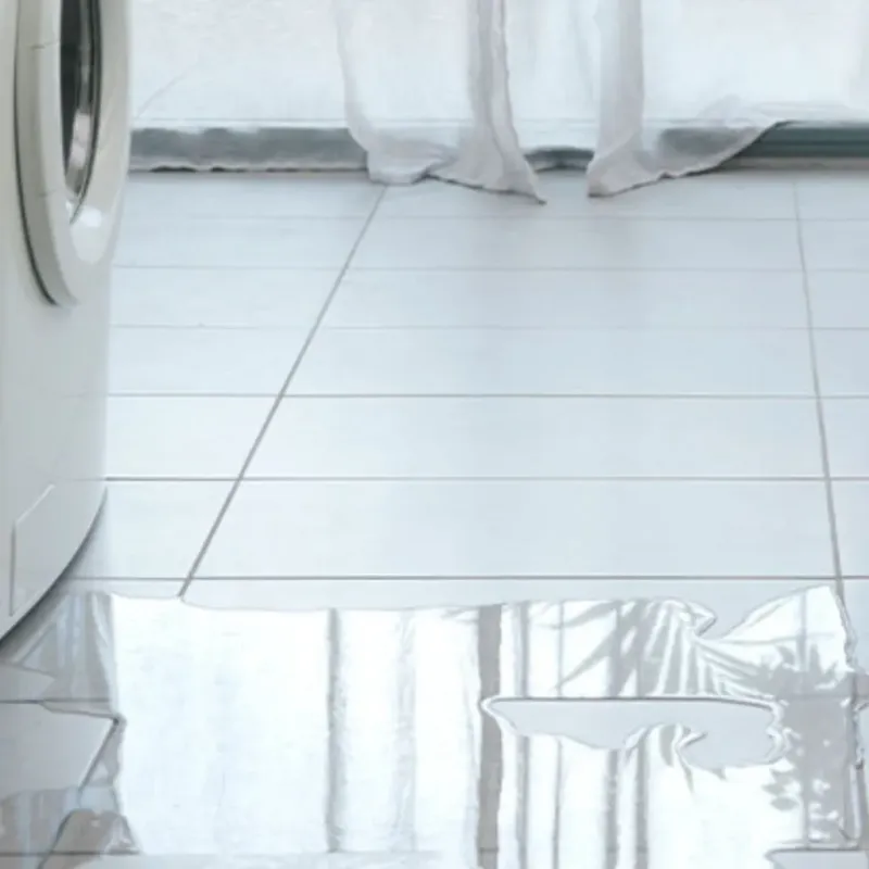 Appliance Leak Cleanup in Wright County, IA