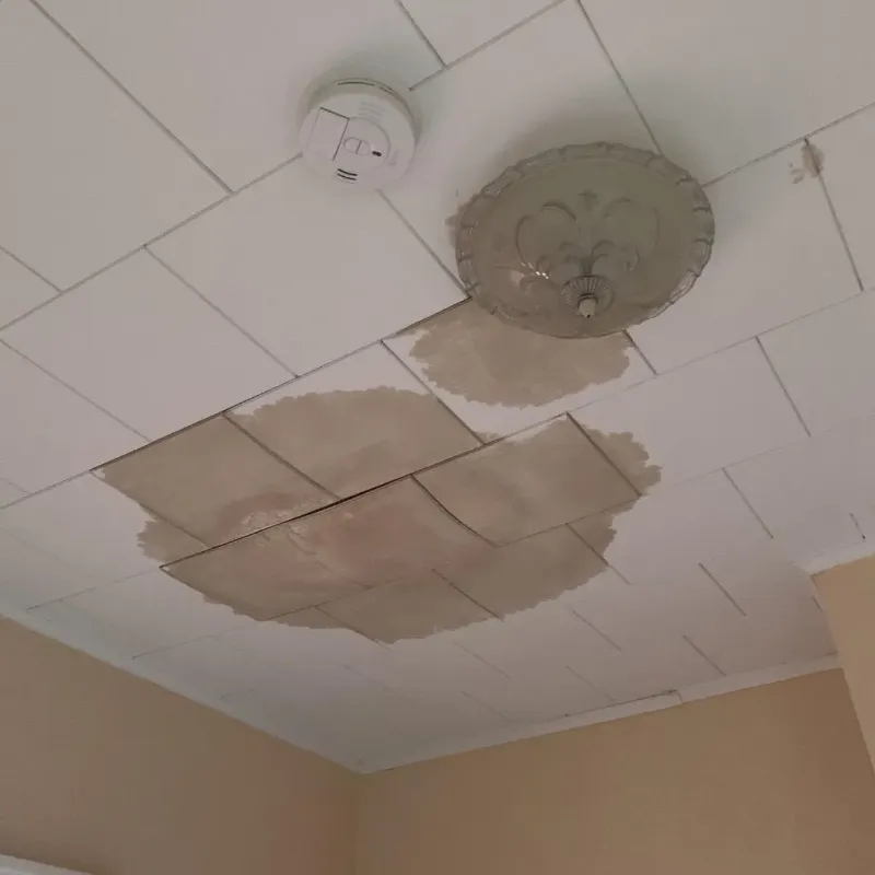 Ceiling Water Damage Repair in Wright County, IA
