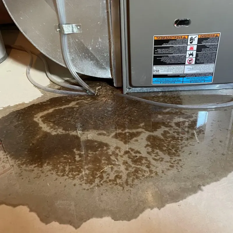 Pipe Burst and Leak Restoration in Wright County, IA