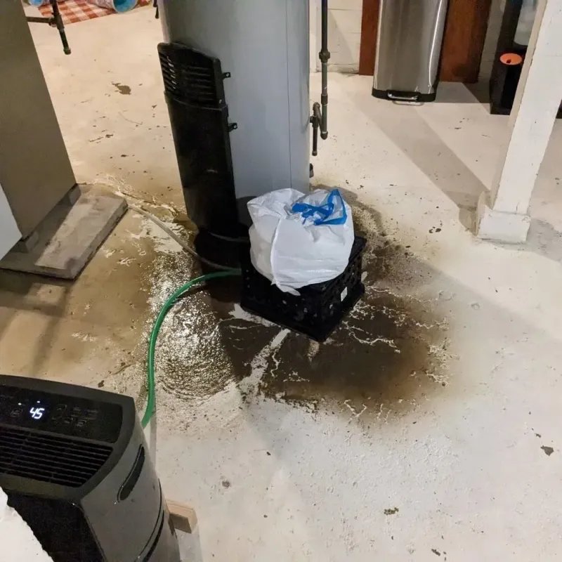 Sewage Backup Cleanup Service in Wright County, IA